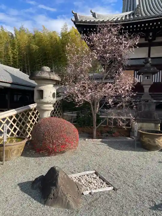 妙蓮寺の{uncategorized: "未分類", other: "その他", undefined: "問題あり", building: "その他建物", grave: "お墓", sacred_gate: "鳥居", guardian: "狛犬", statue: "像", buddha: "仏像", history: "歴史", nature: "自然", garden: "庭園", animal: "動物", pagoda: "塔", temizu: "手水舎", mountain_gate: "山門・神門", sanctuary: "本殿・本堂", subordinate: "末社・摂社", art: "芸術", scenery: "景色", jizo: "地蔵", ema: "絵馬", goshuin: "御朱印", omikuji: "おみくじ", items: "授与品その他", amulet: "お守り", goshuincho: "御朱印帳", eats: "食事", festival: "お祭り", votive_dance: "神楽", shichigosan: "七五三参", wedding: "結婚式", experience: "体験その他", initially: "初詣", around: "周辺", anti_infection: "感染症対策"}
