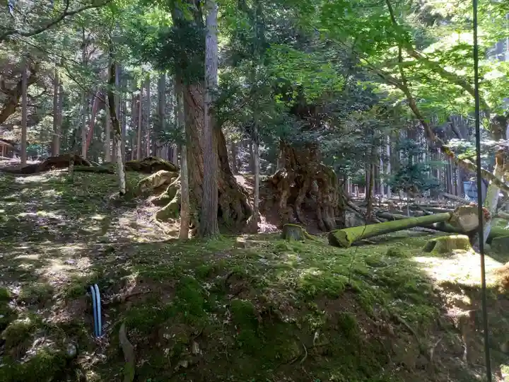 若狭神宮寺(福井県)