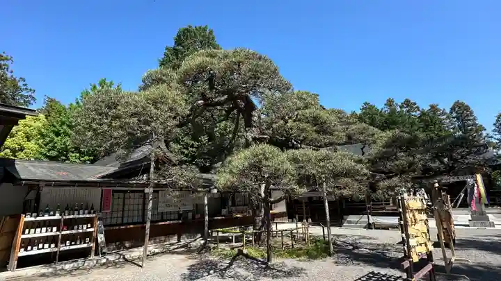 甲斐國一宮 浅間神社(山梨県)