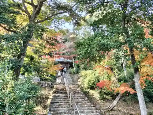 二尊院(京都府)