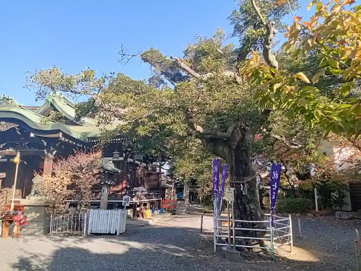 生根神社(大阪府)