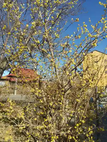 板倉雷電神社(群馬県)