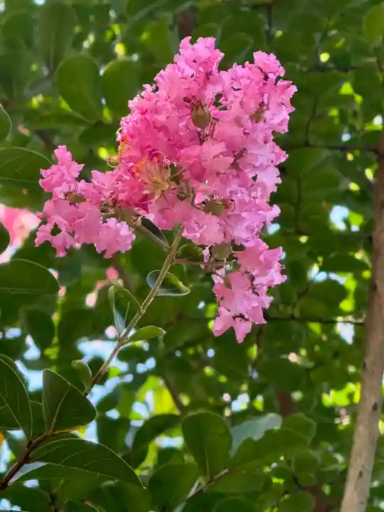 京都乃木神社(京都府)