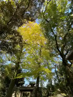 白金龍王社(愛知県)