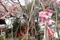 水火天満宮の自然