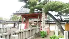 葛井寺の山門