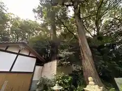 若櫻神社(奈良県)