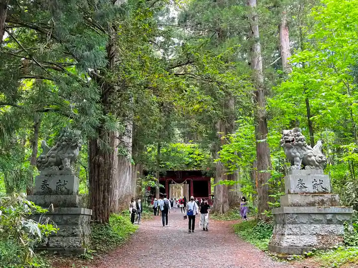 戸隠神社奥社(長野県)