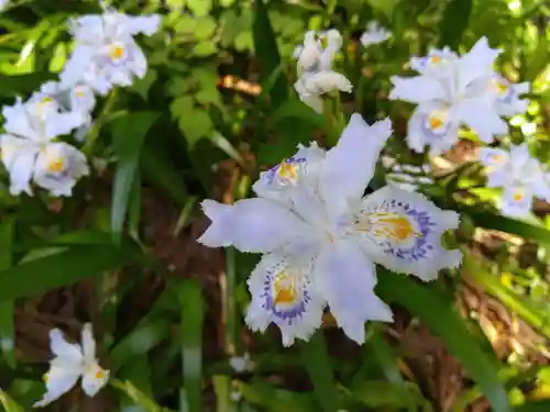 鵜甘神社(福井県)