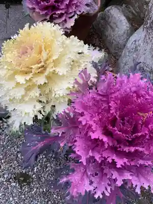 立志神社(滋賀県)