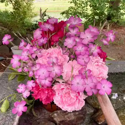 高司神社〜むすびの神の鎮まる社〜(福島県)