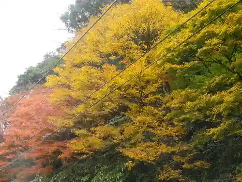 東勝寺跡の自然