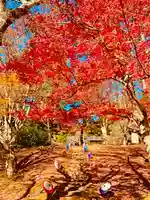 土津神社|こどもと出世の神さま(福島県)