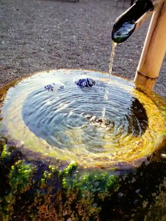 下高井戸八幡神社(東京都)