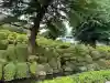 根津神社の{uncategorized: "未分類", other: "その他", undefined: "問題あり", building: "その他建物", grave: "お墓", sacred_gate: "鳥居", guardian: "狛犬", statue: "像", buddha: "仏像", history: "歴史", nature: "自然", garden: "庭園", animal: "動物", pagoda: "塔", temizu: "手水舎", mountain_gate: "山門・神門", sanctuary: "本殿・本堂", subordinate: "末社・摂社", art: "芸術", scenery: "景色", jizo: "地蔵", ema: "絵馬", goshuin: "御朱印", omikuji: "おみくじ", items: "授与品その他", amulet: "お守り", goshuincho: "御朱印帳", eats: "食事", festival: "お祭り", votive_dance: "神楽", shichigosan: "七五三参", wedding: "結婚式", experience: "体験その他", initially: "初詣", around: "周辺", anti_infection: "感染症対策"}