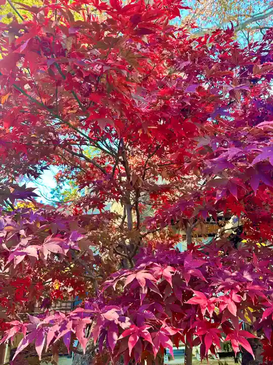 大國魂神社(東京都)