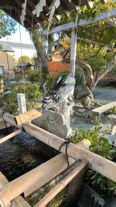 正八幡宮の手水舎