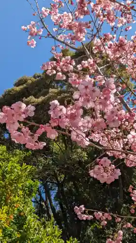 熊野若王子神社の自然