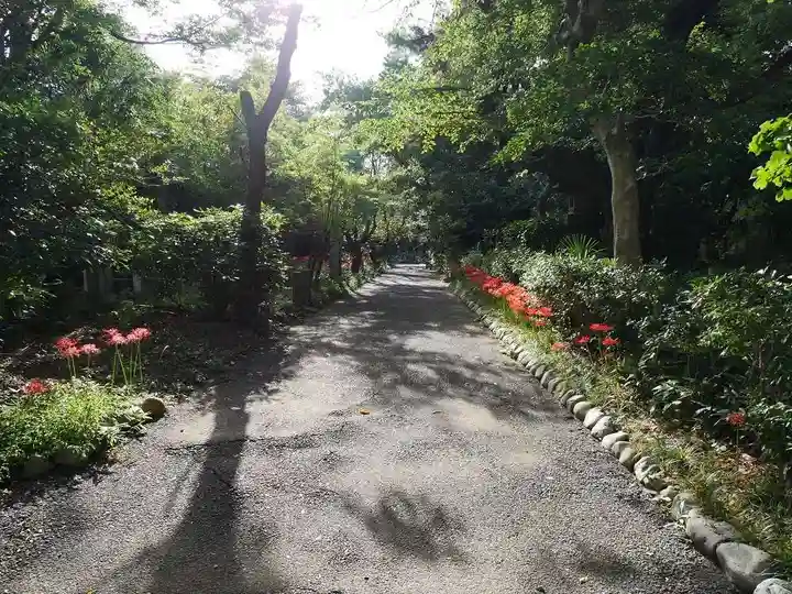 宝蔵院の庭園