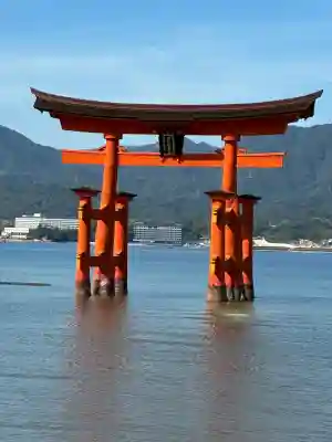 厳島神社の{uncategorized: "未分類", other: "その他", undefined: "問題あり", building: "その他建物", grave: "お墓", sacred_gate: "鳥居", guardian: "狛犬", statue: "像", buddha: "仏像", history: "歴史", nature: "自然", garden: "庭園", animal: "動物", pagoda: "塔", temizu: "手水舎", mountain_gate: "山門・神門", sanctuary: "本殿・本堂", subordinate: "末社・摂社", art: "芸術", scenery: "景色", jizo: "地蔵", ema: "絵馬", goshuin: "御朱印", omikuji: "おみくじ", items: "授与品その他", amulet: "お守り", goshuincho: "御朱印帳", eats: "食事", festival: "お祭り", votive_dance: "神楽", shichigosan: "七五三参", wedding: "結婚式", experience: "体験その他", initially: "初詣", around: "周辺", anti_infection: "感染症対策"}