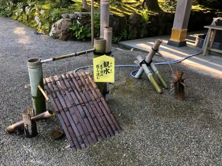 白山比咩神社の手水舎