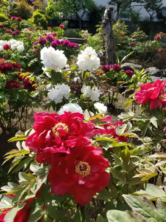 禅定院(東京都)