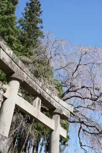 白山神社の鳥居