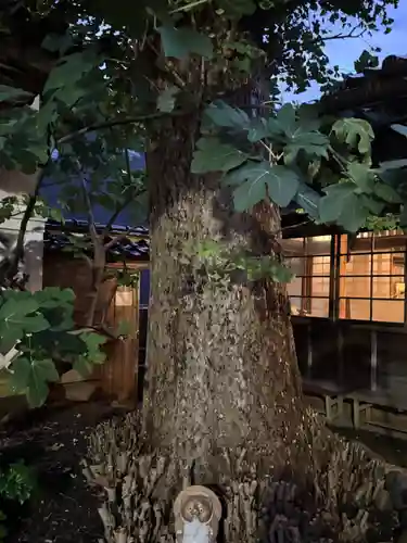 円長寺(石川県)