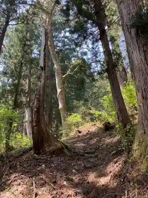 松苧神社(新潟県)