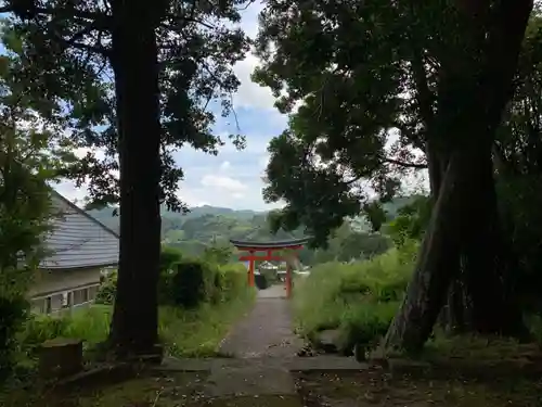 三島神社の鳥居