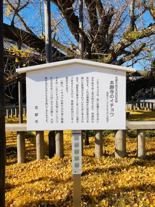 本願寺(西本願寺)の自然