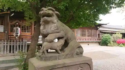 本郷氷川神社の狛犬
