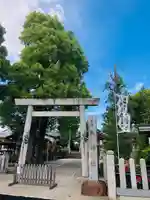 羊神社の鳥居