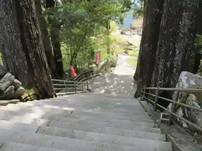 太龍寺(徳島県)
