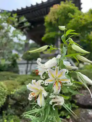 陽林寺(福島県)