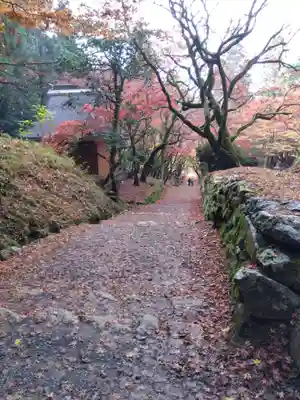 鶏足寺(滋賀県)