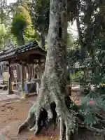 日吉神社の{uncategorized: "未分類", other: "その他", undefined: "問題あり", building: "その他建物", grave: "お墓", sacred_gate: "鳥居", guardian: "狛犬", statue: "像", buddha: "仏像", history: "歴史", nature: "自然", garden: "庭園", animal: "動物", pagoda: "塔", temizu: "手水舎", mountain_gate: "山門・神門", sanctuary: "本殿・本堂", subordinate: "末社・摂社", art: "芸術", scenery: "景色", jizo: "地蔵", ema: "絵馬", goshuin: "御朱印", omikuji: "おみくじ", items: "授与品その他", amulet: "お守り", goshuincho: "御朱印帳", eats: "食事", festival: "お祭り", votive_dance: "神楽", shichigosan: "七五三参", wedding: "結婚式", experience: "体験その他", initially: "初詣", around: "周辺", anti_infection: "感染症対策"}