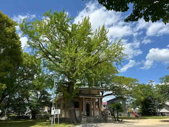 行矢射楯兵主神社(兵庫県)