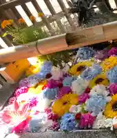 豊平神社の手水舎