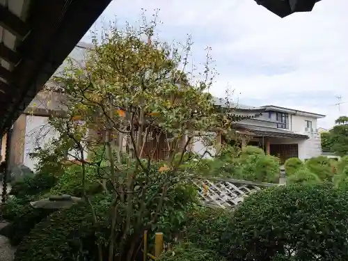 常在寺のその他建物