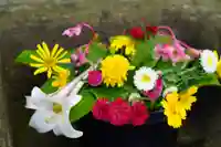 熊野福藏神社の手水舎