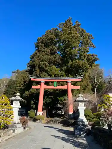 河口浅間神社の鳥居