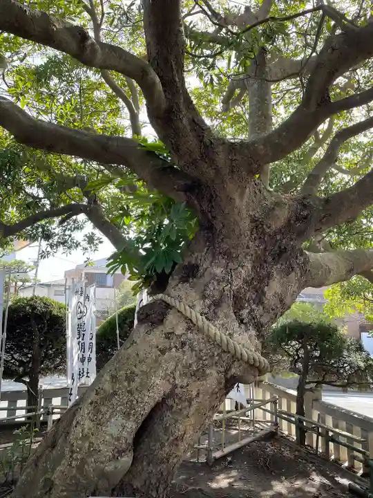 龍口明神社(神奈川県)
