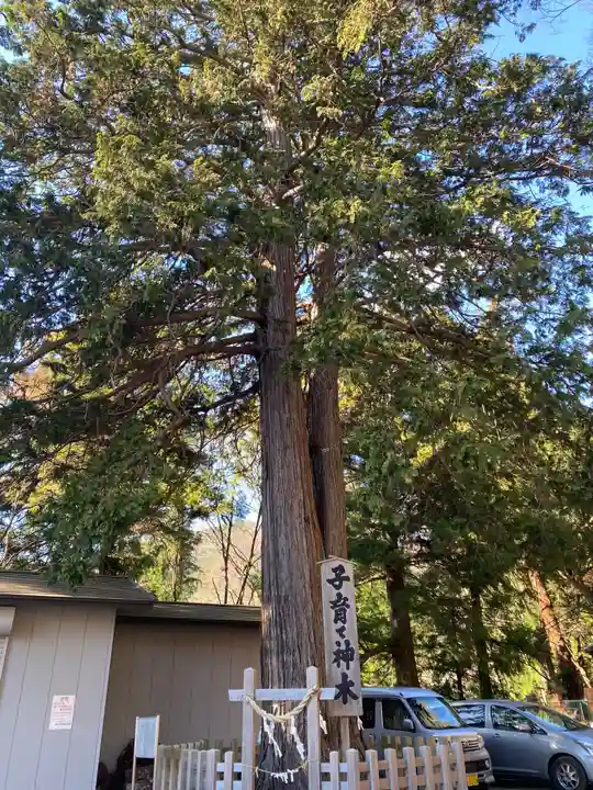 新倉富士浅間神社の自然