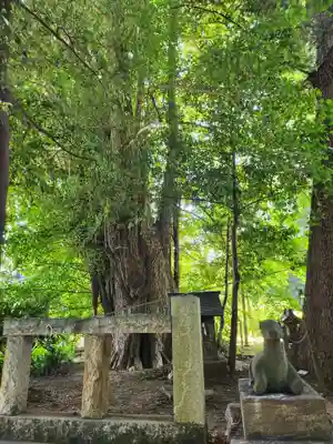 鹿嶋神社(茨城県)