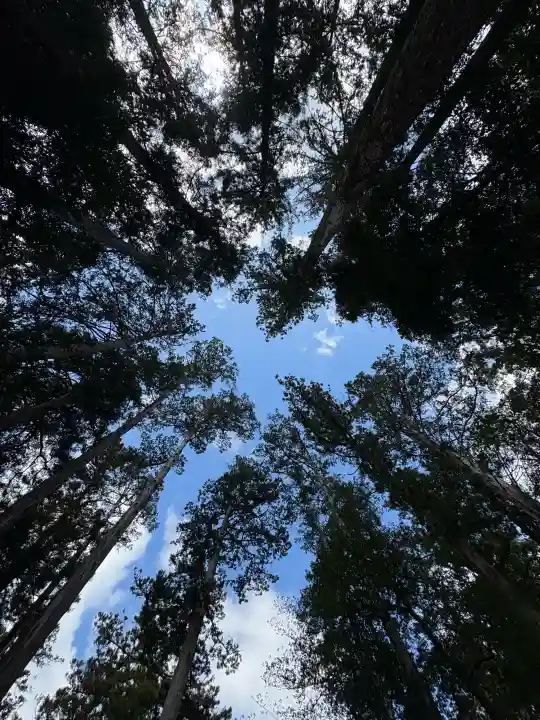 椿大神社の{uncategorized: "未分類", other: "その他", undefined: "問題あり", building: "その他建物", grave: "お墓", sacred_gate: "鳥居", guardian: "狛犬", statue: "像", buddha: "仏像", history: "歴史", nature: "自然", garden: "庭園", animal: "動物", pagoda: "塔", temizu: "手水舎", mountain_gate: "山門・神門", sanctuary: "本殿・本堂", subordinate: "末社・摂社", art: "芸術", scenery: "景色", jizo: "地蔵", ema: "絵馬", goshuin: "御朱印", omikuji: "おみくじ", items: "授与品その他", amulet: "お守り", goshuincho: "御朱印帳", eats: "食事", festival: "お祭り", votive_dance: "神楽", shichigosan: "七五三参", wedding: "結婚式", experience: "体験その他", initially: "初詣", around: "周辺", anti_infection: "感染症対策"}