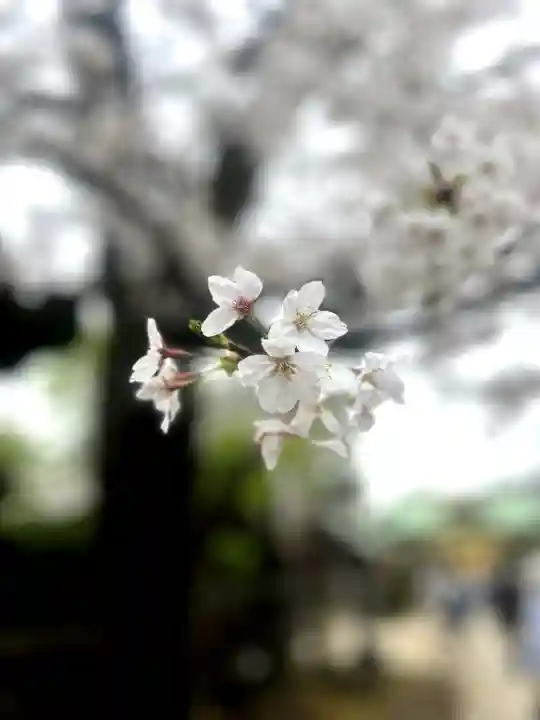 上野東照宮(東京都)