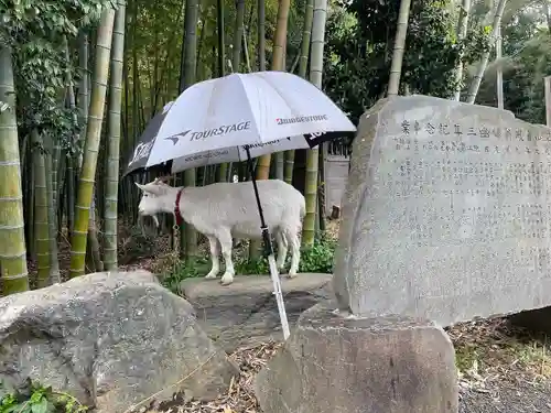 出雲大社相模分祠(神奈川県)