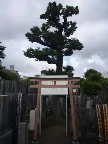 妙行寺(東京都)