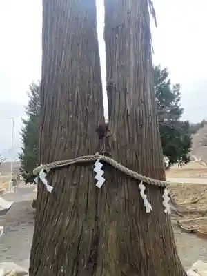 高司神社〜むすびの神の鎮まる社〜(福島県)